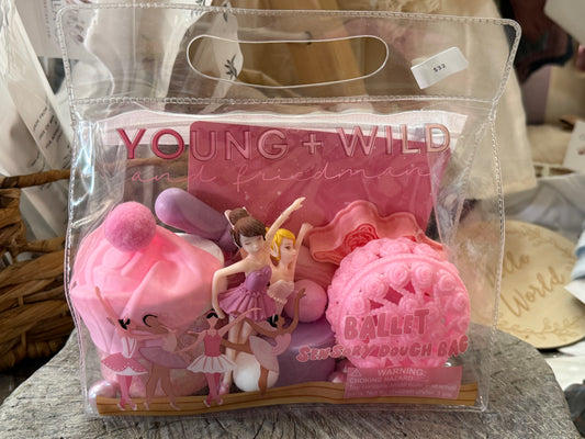 Young Wild and Friedman Sensory Dough Ballet Play set
