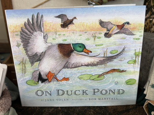 On Duck Pond